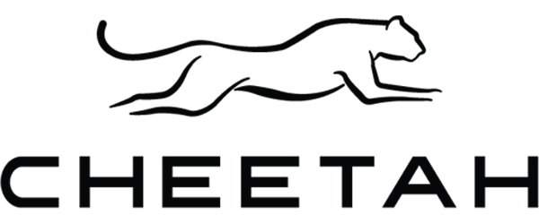 cheetah